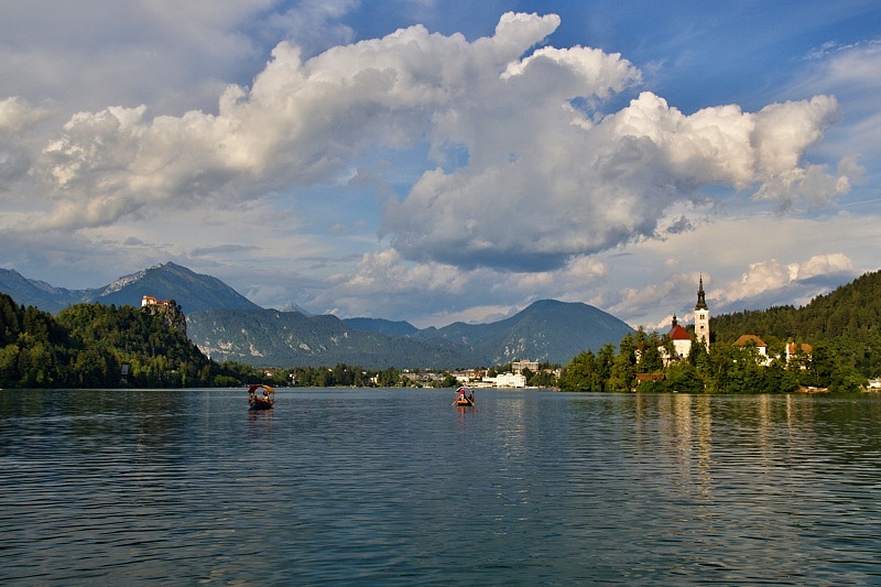 Bled