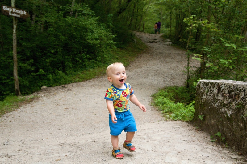 Hyneek jde od vodopdu Kozjak